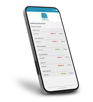 View Account Balances and Transactions