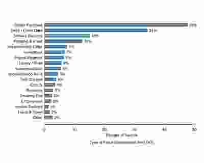 Type of Fraud Experienced